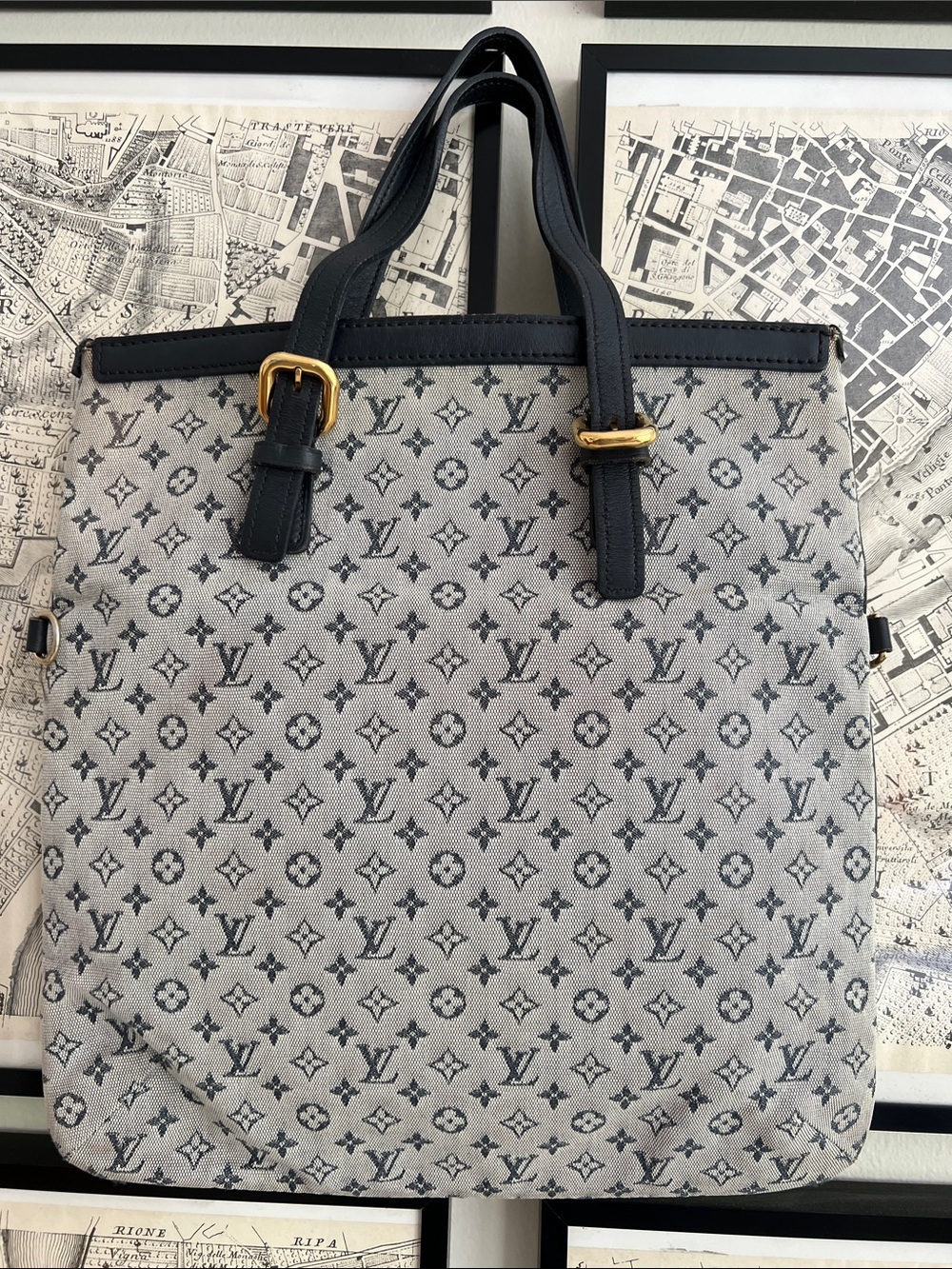 Louis Vuitton Monogram Mini Francoise Canvas Tote with Leather Handles